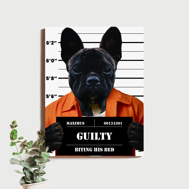 Guilty Biting His Bed Pet Portrait