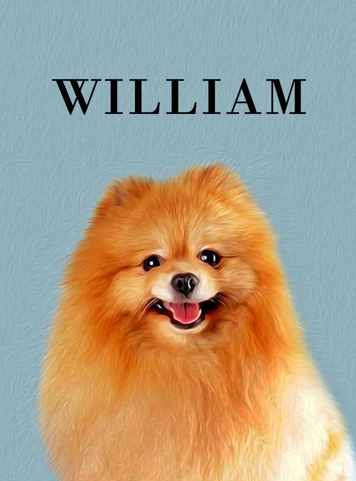 Custom Illustrated Pet Portraits