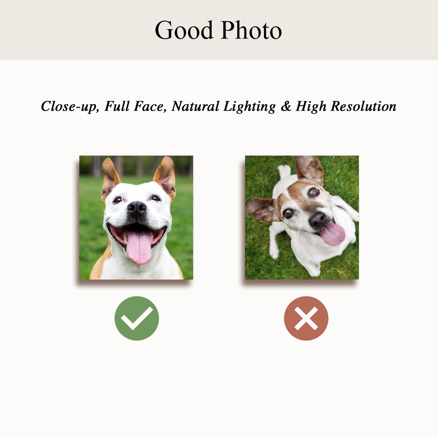 Personalized Funny Pet Portrait From Photo