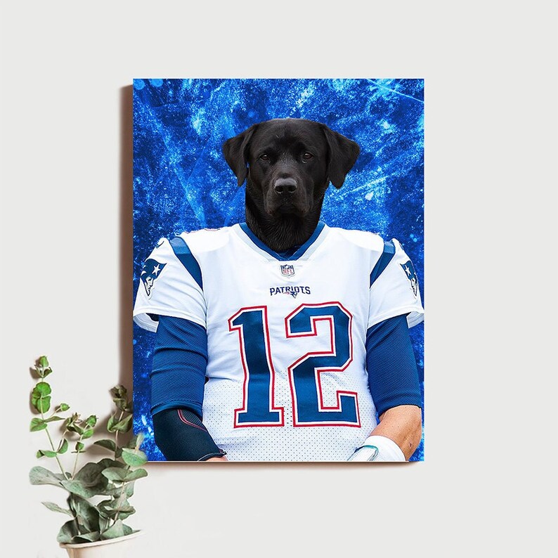 Custom Football Pet Player