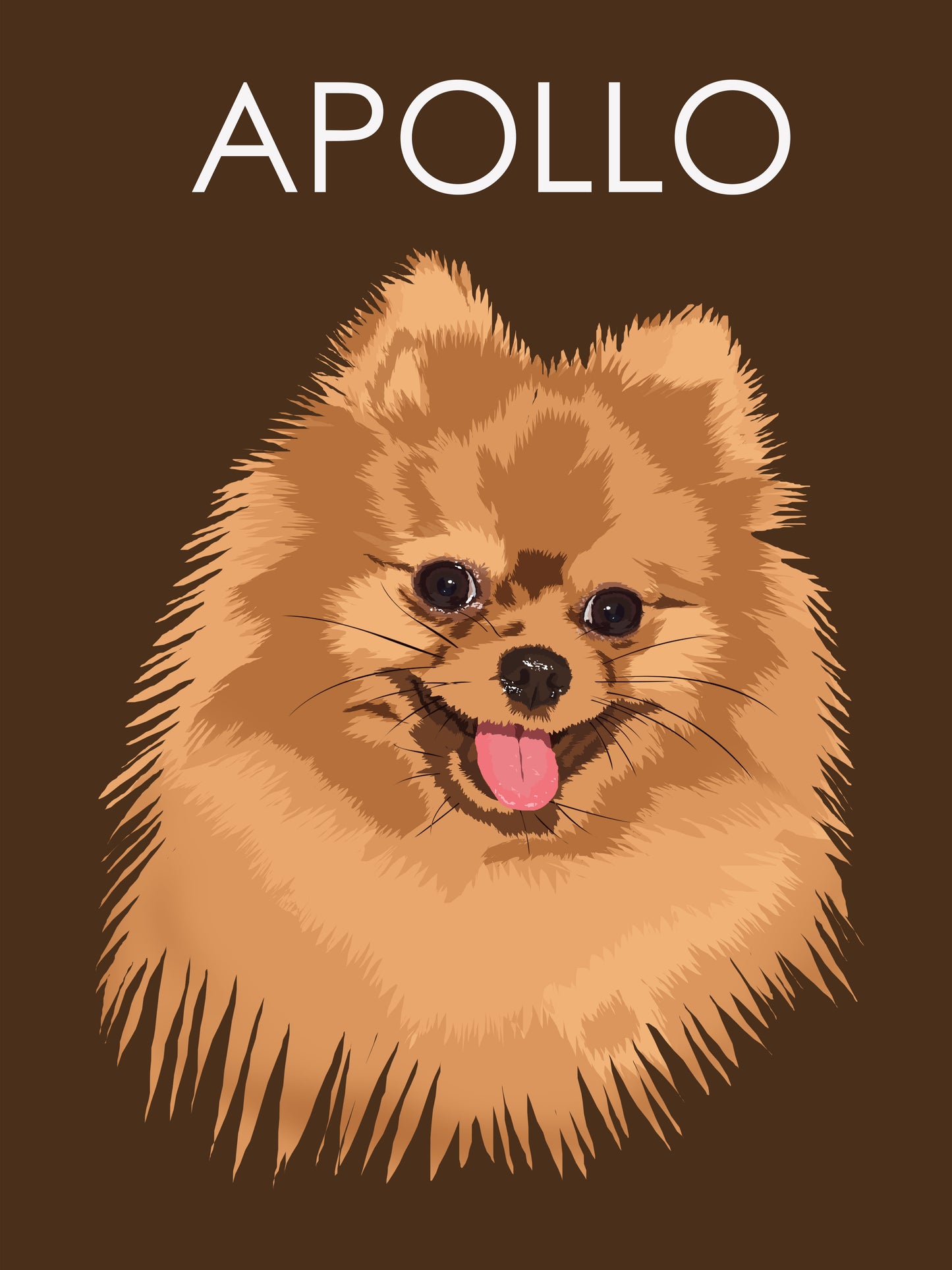 Minimalist Pet Portrait