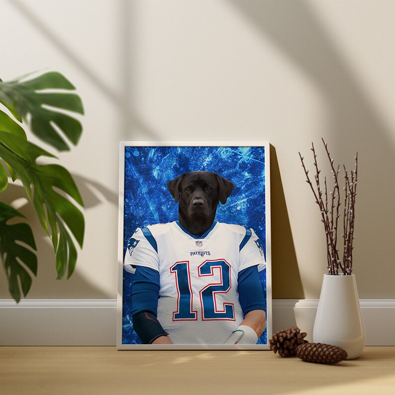 Custom Football Pet Player