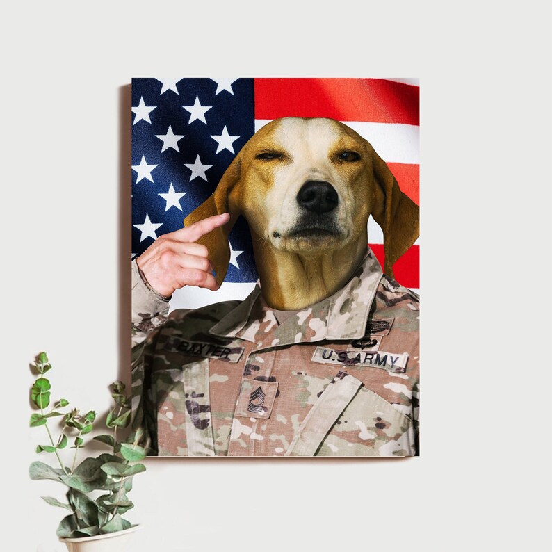 Custom US Soldier Pet Poster