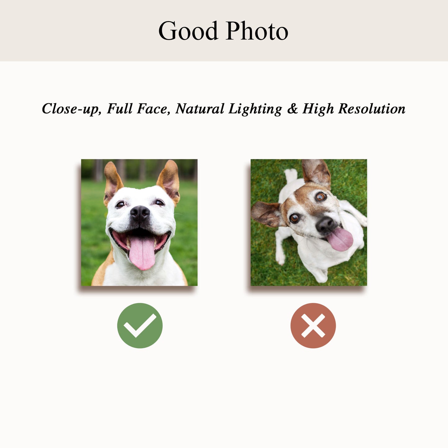 Custom Pet Brothers Portraits