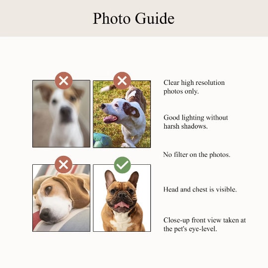 Gag Pet Portrait Gifts