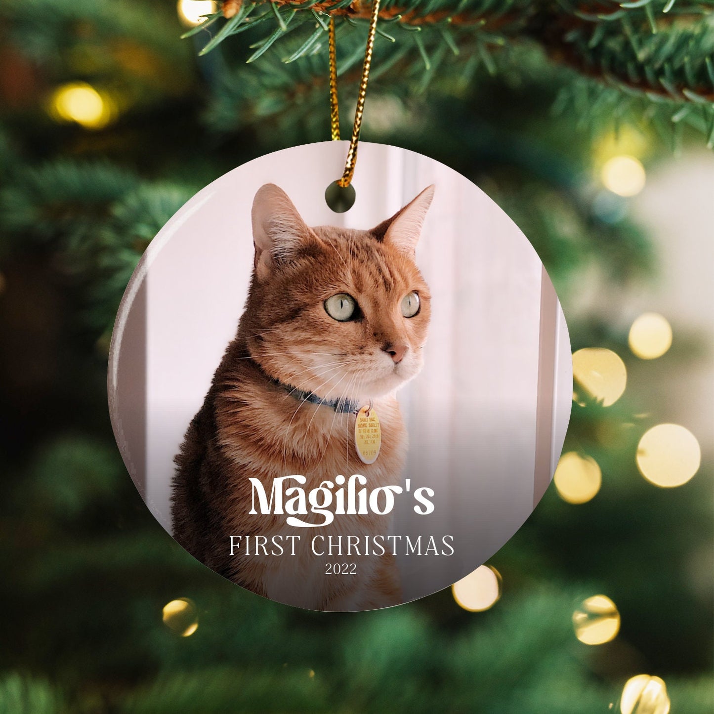 Pets First Christmas Ornament (16)