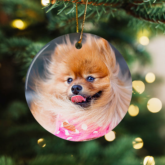 Custom Pet Portrait Christmas Ornaments (1)