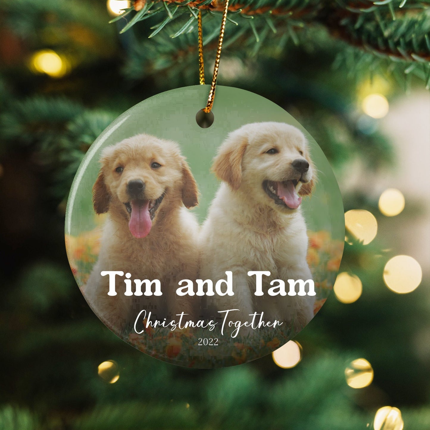 Pet Portrait Christmas Ornament (7)