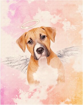 Watercolor Digital Painting Pet Loss Portrait