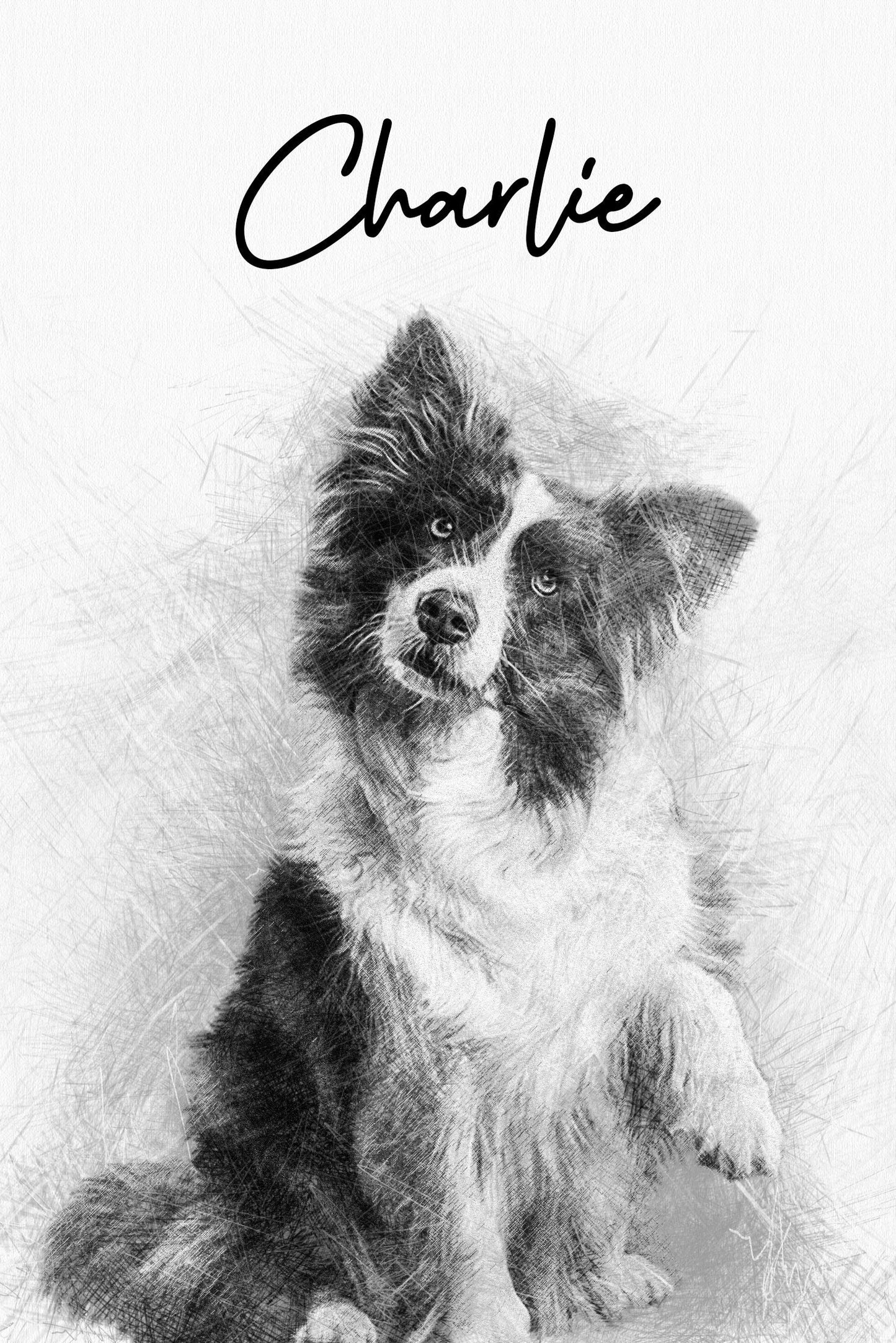 Sketched Pet Portrait Gifts