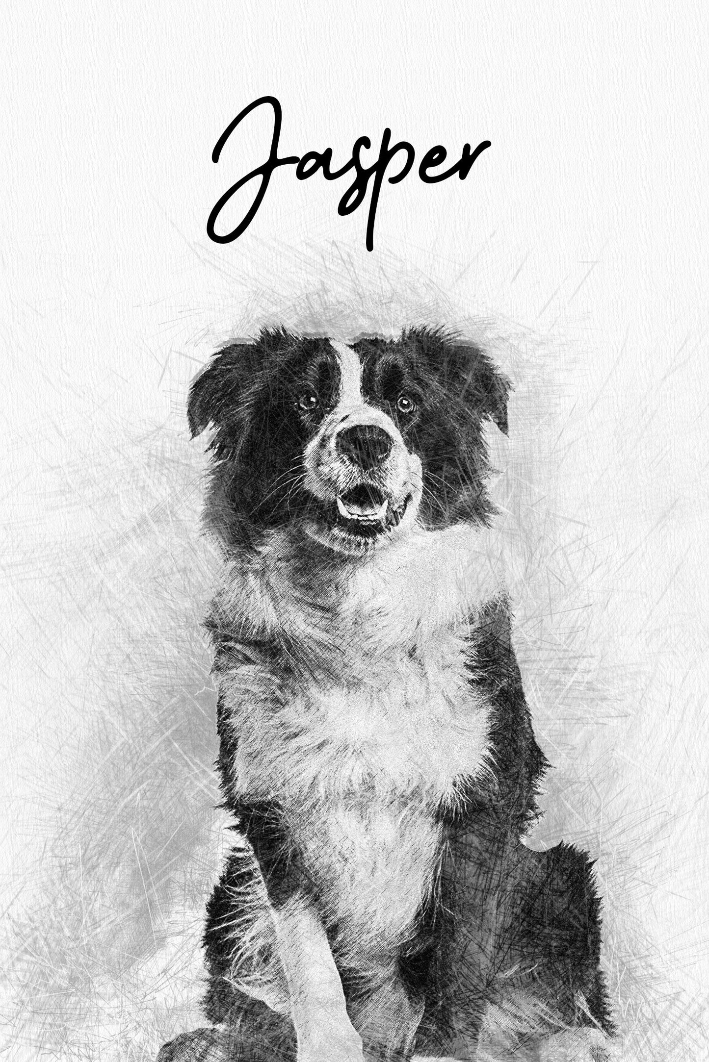 Sketched Pet Portrait Gifts